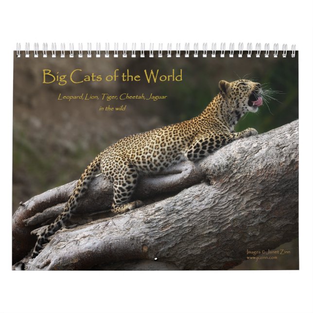 Big Cats of the World Calendar (Cover)