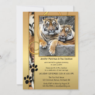 Big Cats Tiger Gold Post Wedding Invitation