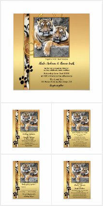 Big Cats Weddings