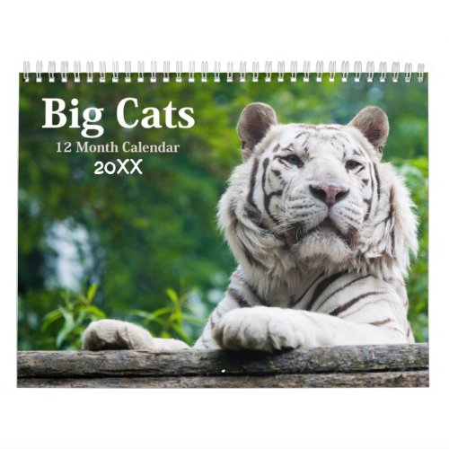 Big Cats Wildlife Calendar 2021