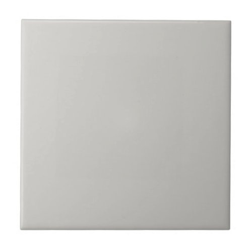 Big Chilling Gray Square Kitchen and Bathroom Ceramic Tile