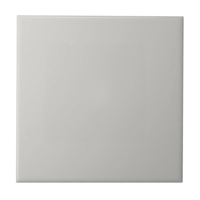 Big Chilling Gray Square Kitchen and Bathroom Ceramic Tile (Front)