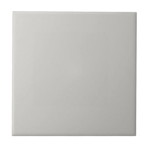 Big Chilly Gray Square Kitchen and Bathroom  Ceramic Tile