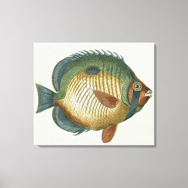 Big Colorful Fish Canvas Print (Front)