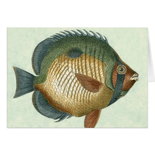 Big Colorful Fish Cards (Front Horizontal)