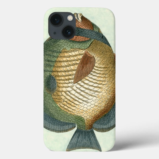Big Colorful Fish Case-Mate iPhone Case (Back)