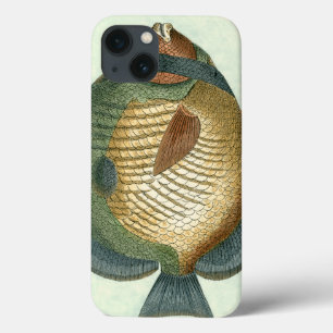 Big Colorful Fish iPhone 13 Case