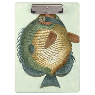Big Colorful Fish Clipboard