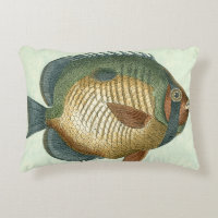 Big Colorful Fish