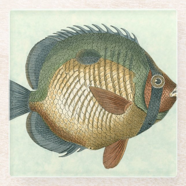 Big Colorful Fish Glass Coaster (Front)