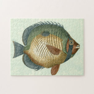 Big Colorful Fish Jigsaw Puzzle