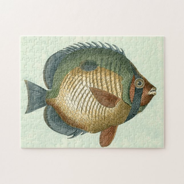 Big Colorful Fish Jigsaw Puzzle (Horizontal)