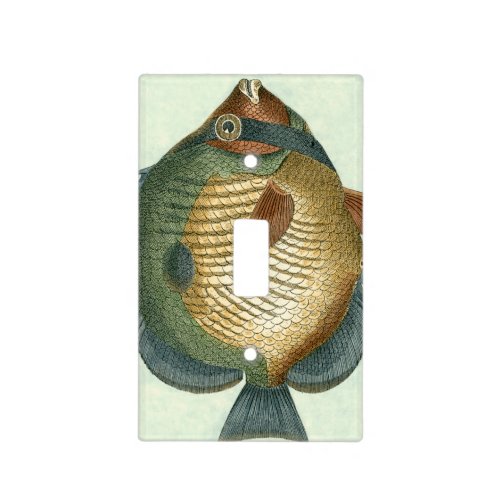 Big Colorful Fish Light Switch Cover