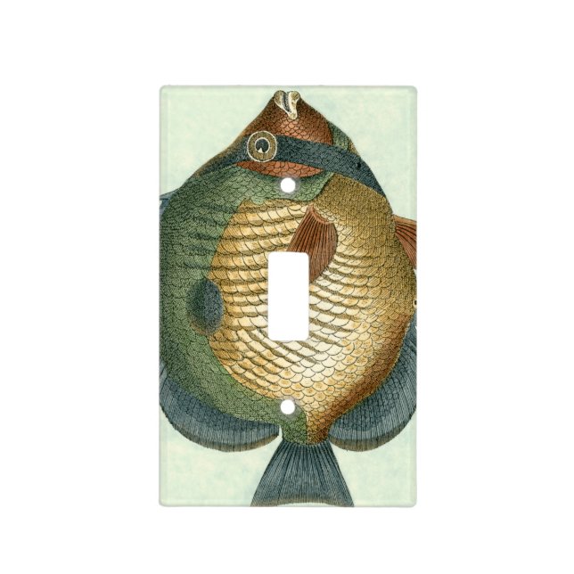 Big Colorful Fish Light Switch Cover (Front)