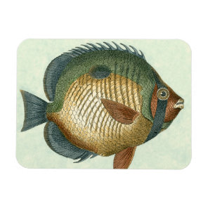 Big Colorful Fish Magnet