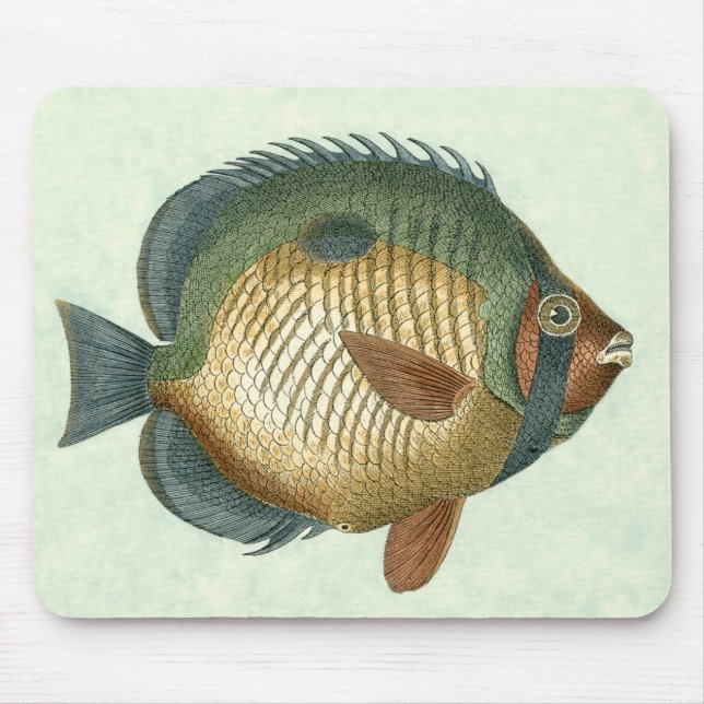 Big Colorful Fish Mouse Pad (Front)