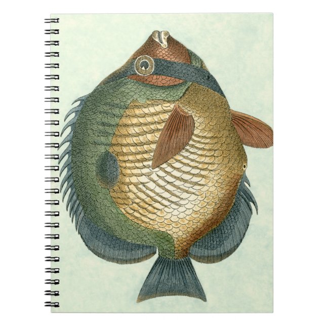 Big Colorful Fish Notebook (Front)