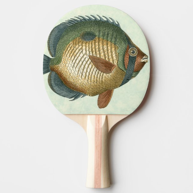 Big Colorful Fish Ping-Pong Paddle (Front)