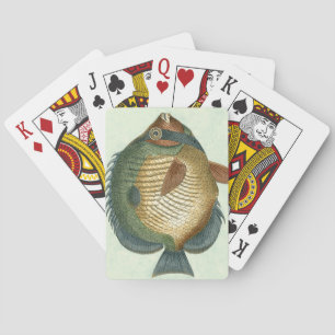 Big Colorful Fish Poker Cards