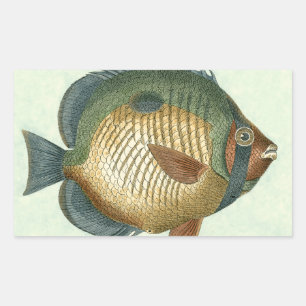 Big Colorful Fish Rectangular Sticker