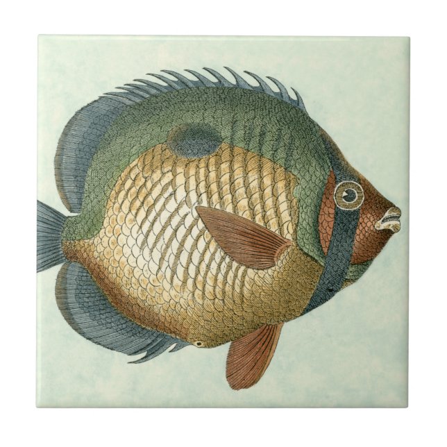 Big Colorful Fish Tile (Front)