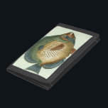 Big Colorful Fish Tri-fold Wallet<br><div class="desc">Get this unique image of a big colorful fish on your next product. This amazing art print of a green,  orange,  dark-blue and yellow fish will look great on anything. Take this sea-inspired image with you everywhere you go.</div>