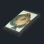 Big Colorful Fish Tri-fold Wallet<br><div class="desc">Get this unique image of a big colorful fish on your next product. This amazing art print of a green,  orange,  dark-blue and yellow fish will look great on anything. Take this sea-inspired image with you everywhere you go.</div>