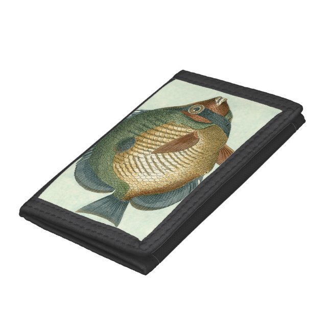 Big Colorful Fish Tri-fold Wallet (Bottom)