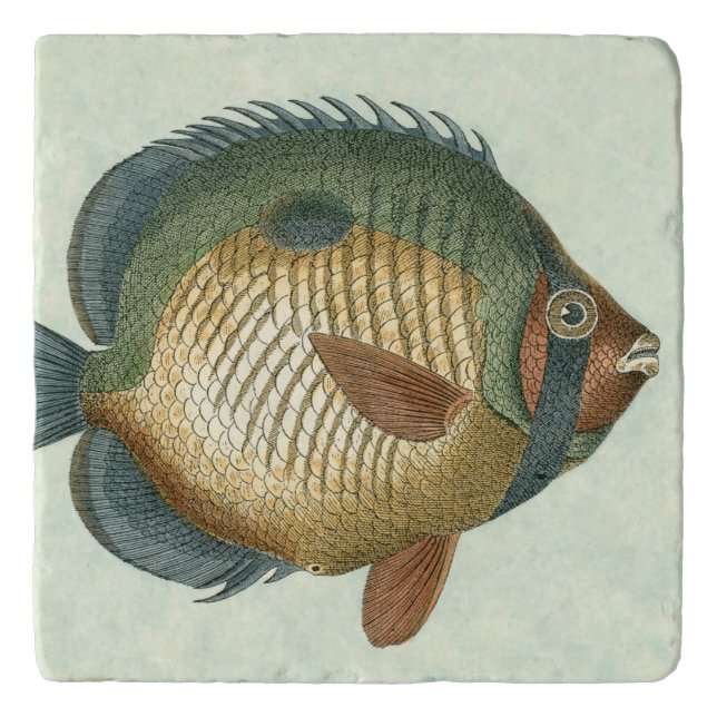 Big Colorful Fish Trivet (Front)