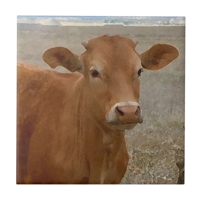 Big Cow Eyes - Red Cattle Tile (Front)