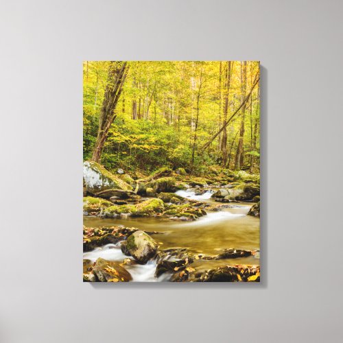 Big Creek  North Carolina Canvas Print