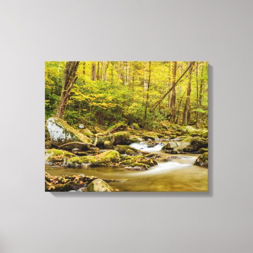 Big Creek  North Carolina Canvas Print