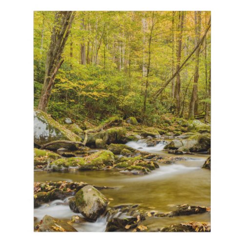 Big Creek  North Carolina Faux Canvas Print