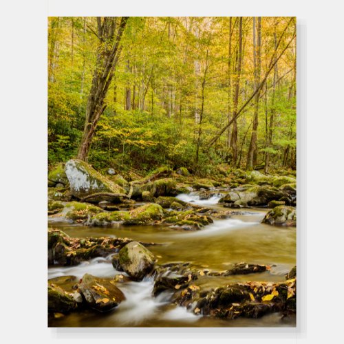 Big Creek  North Carolina Foam Board