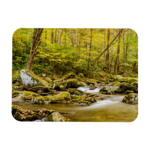 Big Creek North Carolina Magnet