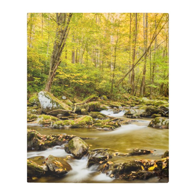 Big Creek | North Carolina Metal Print (Front)