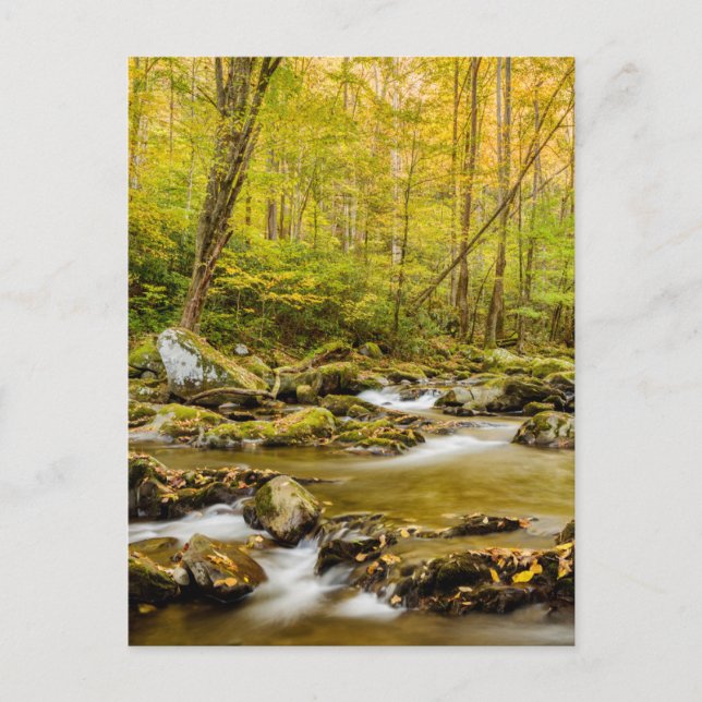 Big Creek | North Carolina Postcard (Front)