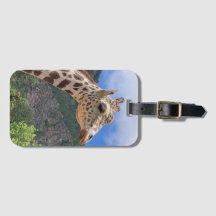Big Daddy Luggage Tag #2