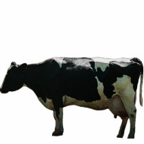 Big Dairy Cow Sculpture