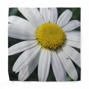 Big Daisy Bandana