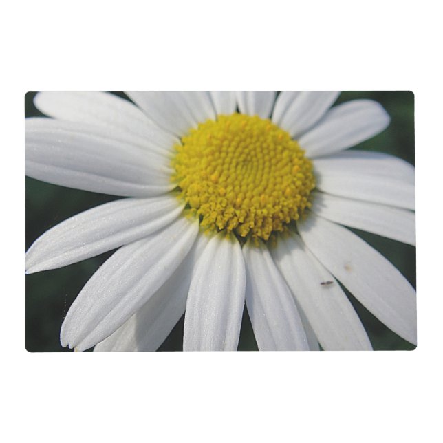 Big Daisy Placemat (Front)