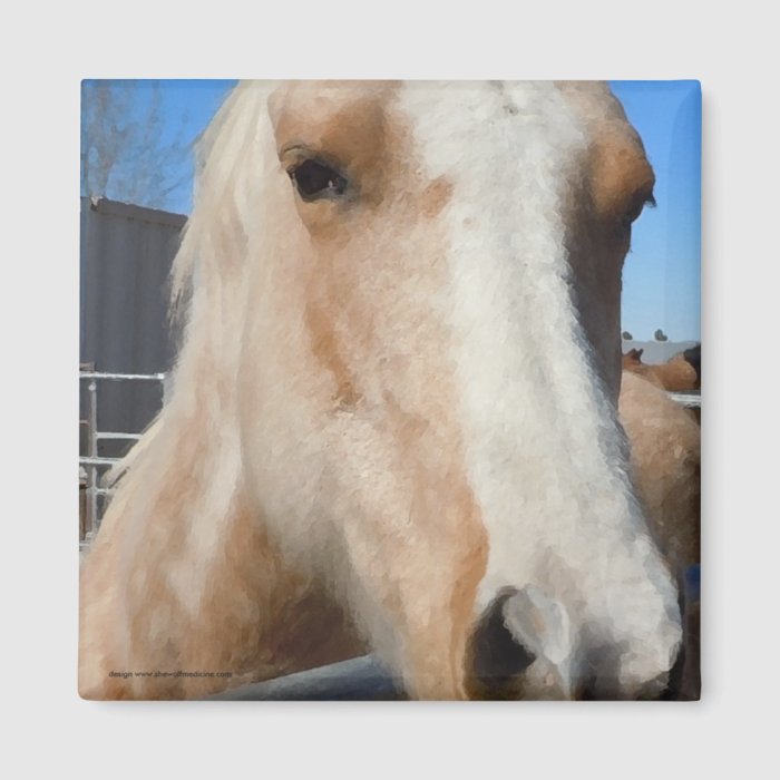 Big Dark Eyes Golden Blond Palomino Pony Fridge Magnet