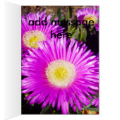 Big Dazzling Purple Daisies, (Inside (Right))