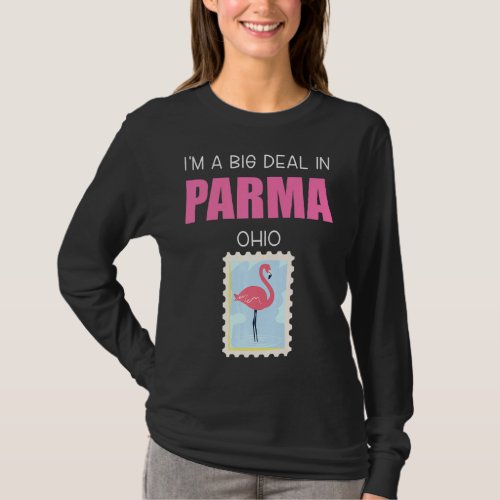 Big Deal Sarcastic Pink Flamingo Parma Ohio Souven T_Shirt