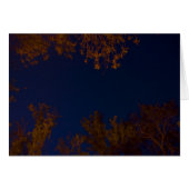 Big Dipper (Front Horizontal)