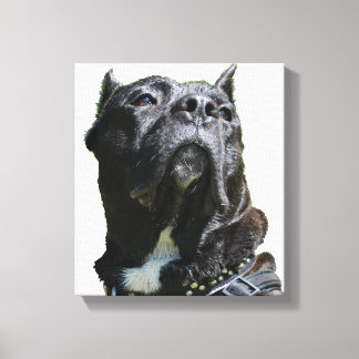 Big Dog Canvas Print