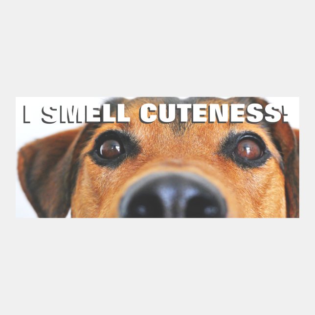 Big dog face Twitter meme (Front)