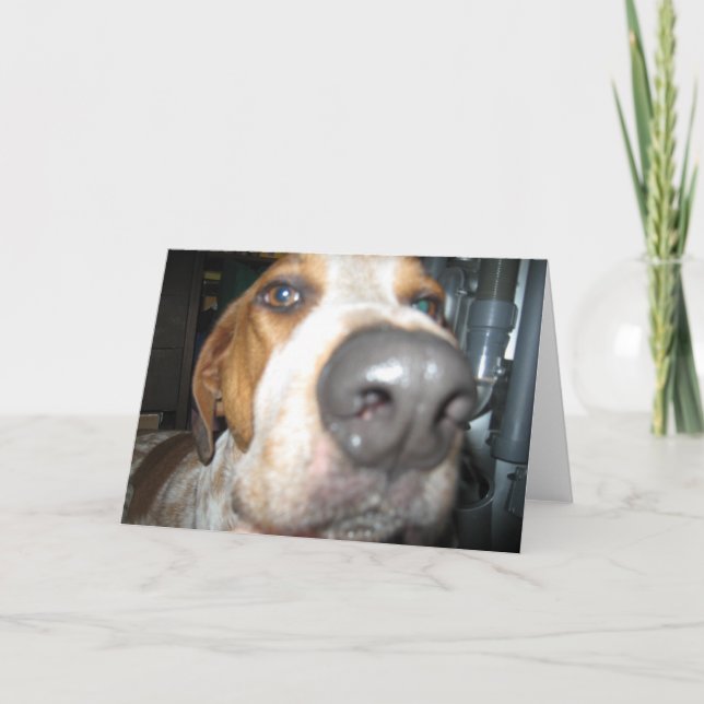Big Dog Nose Notecard (Front)
