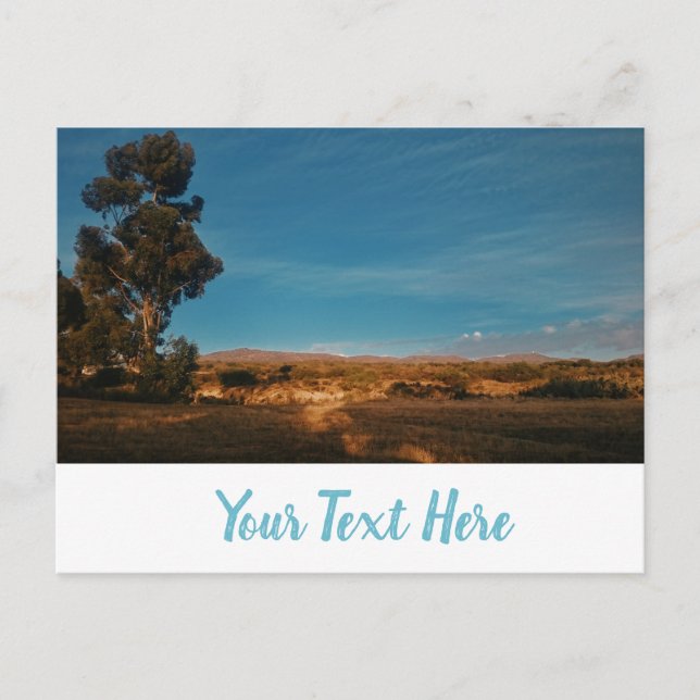 Big Eucalyptus Tree Beautiful Landscape Postcard (Front)