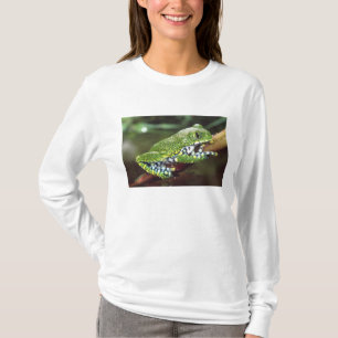 Big Eye Treefrog, Leptopelis vermiculatus, T-Shirt